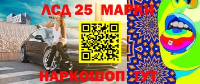 прущие грибы Гатчина