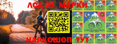прущие грибы Гатчина