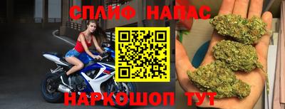 прущие грибы Гатчина