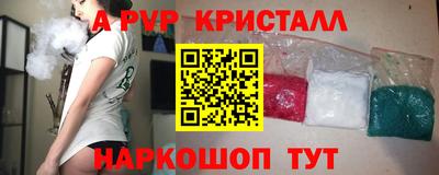 прущие грибы Гатчина