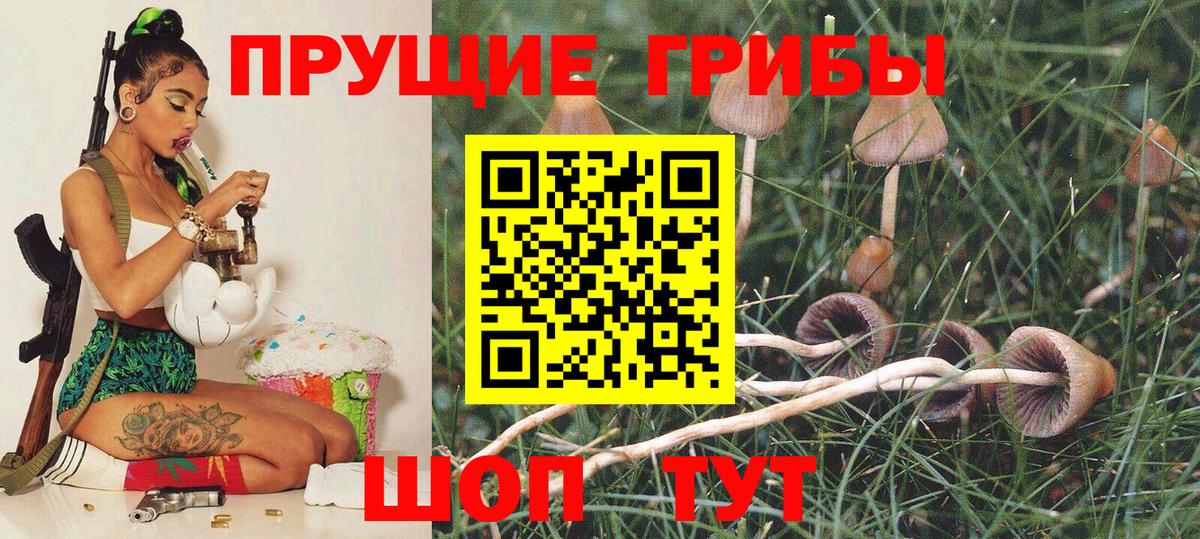 Псилоцибиновые грибы Psilocybine cubensis  Вход с VPN  Псилоцибиновые грибы GOLDEN TEACHER  Вятские Поляны 
